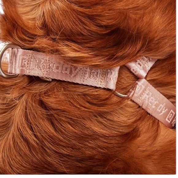 REDDY - SIZE MEDIUM - NEW WITH TAGS - JACQUARD DOG HARNESS - PINK - B19 - Picture 8 of 12